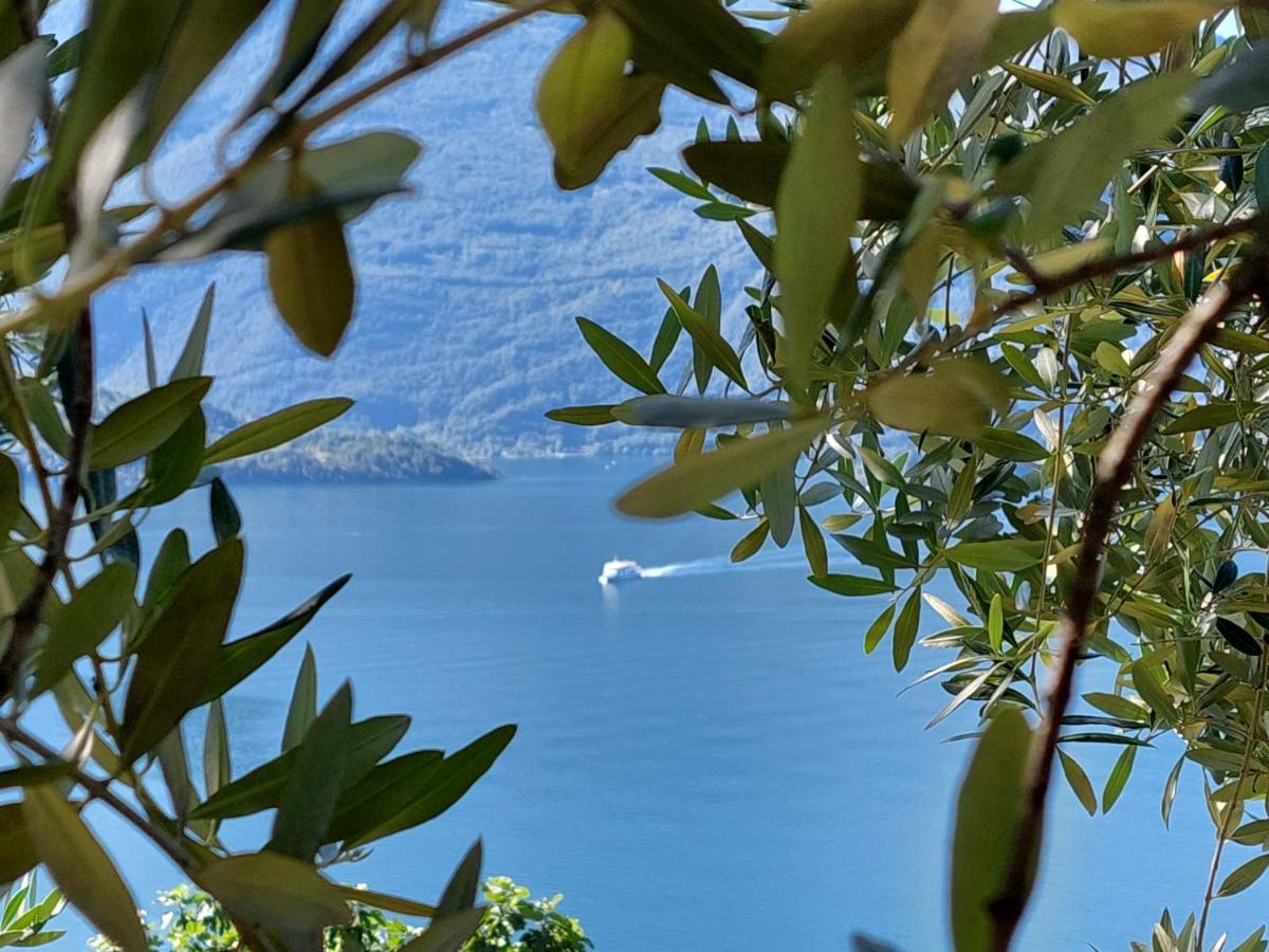Casa Vacanze Perla Del Lago โดมาโซ ภายนอก รูปภาพ